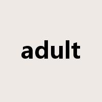 adult是什么意思