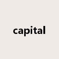 capital是什么意思