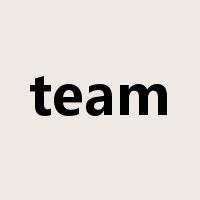 team是什么意思