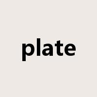 plate是什么意思