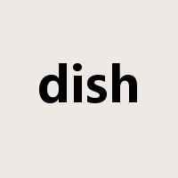 dish是什么意思
