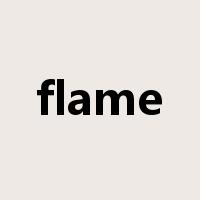 flame是什么意思