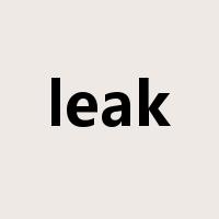 leak是什么意思