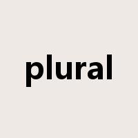 plural是什么意思
