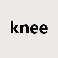 knee是什么意思