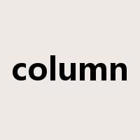 column是什么意思