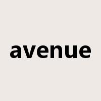 avenue是什么意思