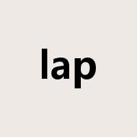 lap是什么意思