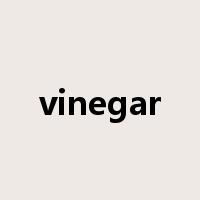 vinegar是什么意思