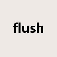 flush是什么意思