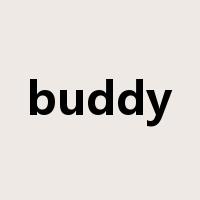 buddy是什么意思