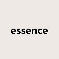essence是什么意思