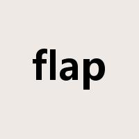 flap是什么意思
