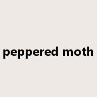 peppered moth是什么意思