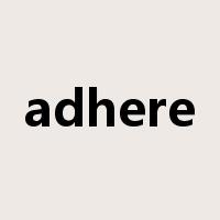adhere是什么意思