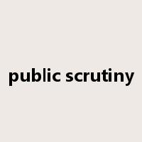 public scrutiny是什么意思