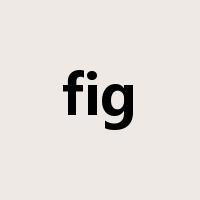 fig是什么意思