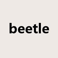 beetle是什么意思