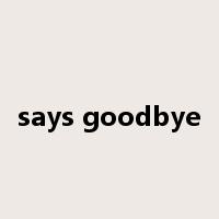 says goodbye是什么意思