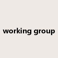 working group是什么意思