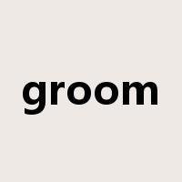 groom是什么意思