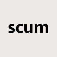 scum是什么意思