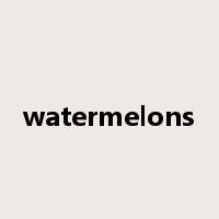 watermelons是什么意思