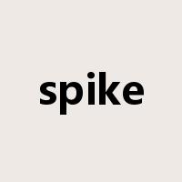 spike是什么意思