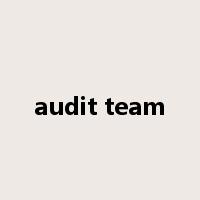 audit team是什么意思