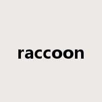 raccoon是什么意思