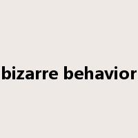 bizarre behavior是什么意思