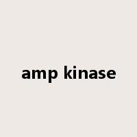 amp kinase是什么意思
