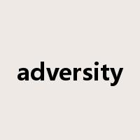 adversity是什么意思