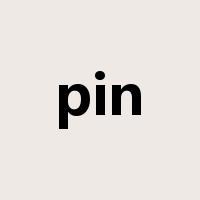 pin是什么意思