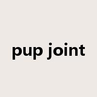 pup joint是什么意思