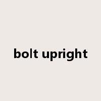 bolt upright是什么意思