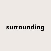 surrounding是什么意思