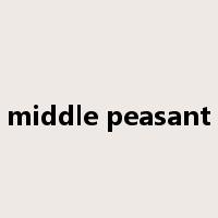 middle peasant是什么意思