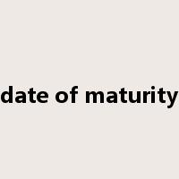 date of maturity是什么意思