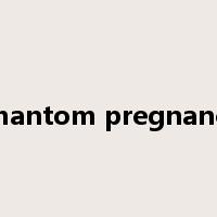 phantom pregnancy是什么意思