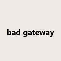 bad gateway是什么意思