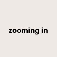 zooming in是什么意思