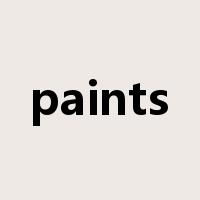 paints是什么意思
