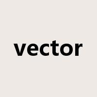 vector是什么意思