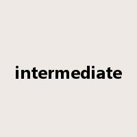 intermediate是什么意思