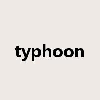 typhoon是什么意思