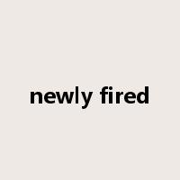 newly fired是什么意思
