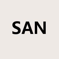 SAN是什么意思