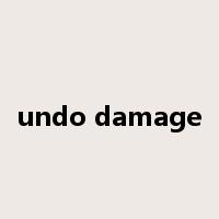 undo damage是什么意思