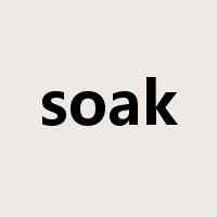 soak是什么意思